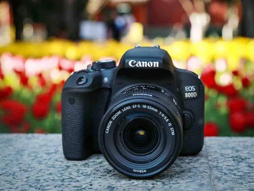 佳能尼康索尼哪个单反相机好_佳能尼康索尼各自特点