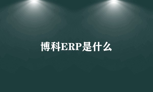 博科ERP是什么