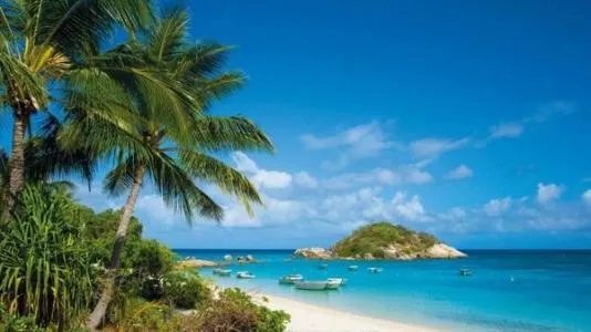 游客三亚吃鸡比赛是怎么回事？