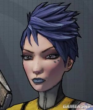 《无主之地2》全职业皮肤及头型收集攻略 全职业皮肤获取方法