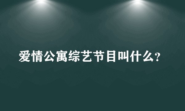 爱情公寓综艺节目叫什么？