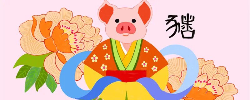 2019年是属什么属相 2019年属猪在2022年的运势是什么