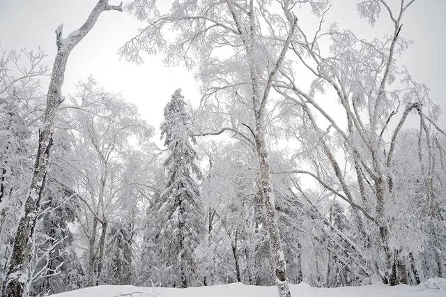 驴友穿越贡嘎遇难，如何正规地穿越贡嘎区？