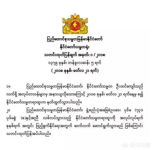 缅甸新的总统选举什么时候开始？