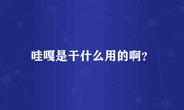 哇嘎是干什么用的啊？