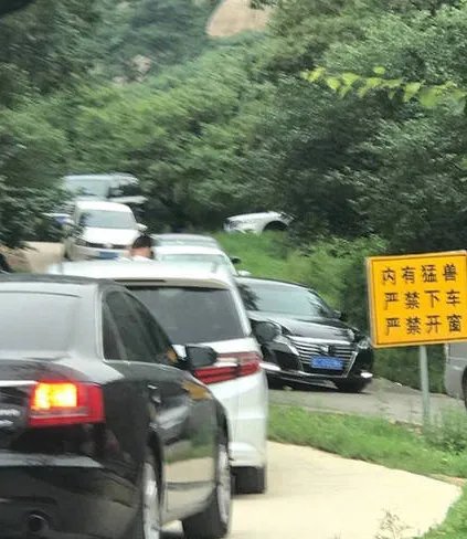 关八达岭动物园猛兽区儿童探身出车天窗无人管吗?