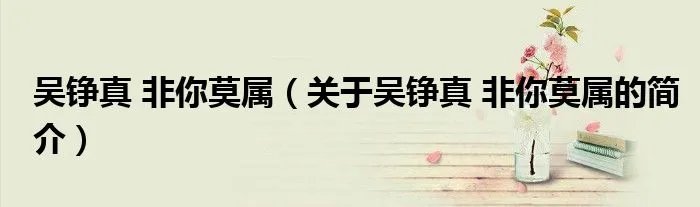 吴铮真 非你莫属（关于吴铮真 非你莫属的简介）