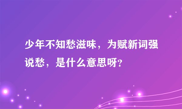 少年不知愁滋味，为赋新词强说愁，是什么意思呀？