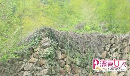 祖坟上放一物祖孙三代必富贵