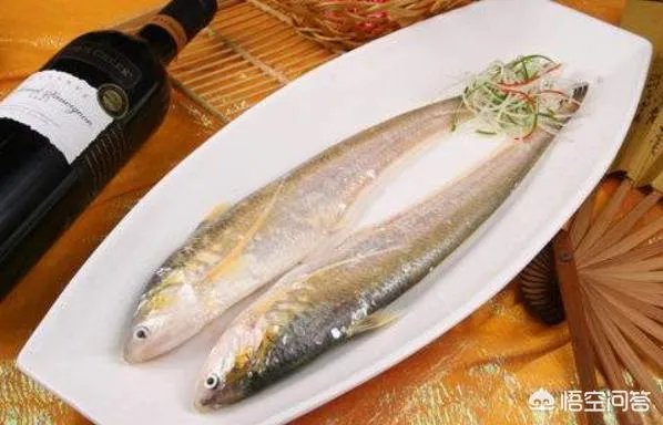 长江刀鱼养殖已经成功几年了,为什么有人说在市场上没有见到?