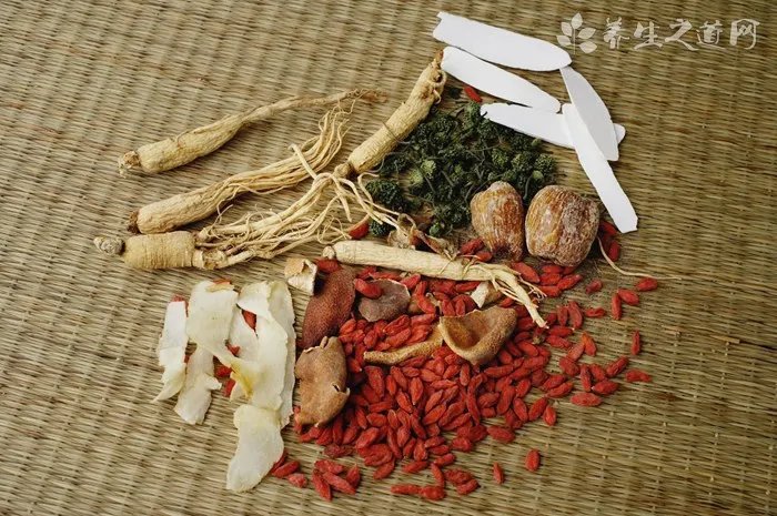 帮助猫咪减肥的方法有哪些？