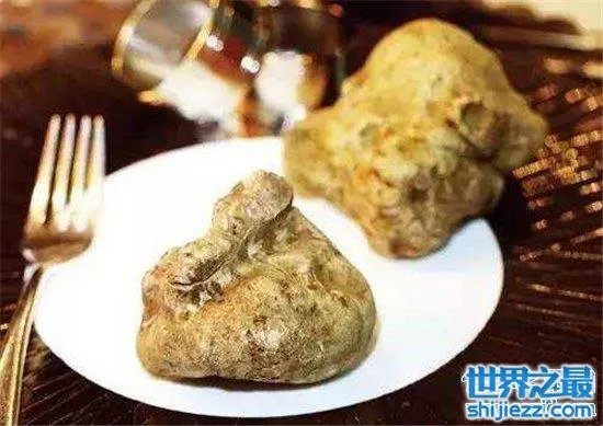 9种全球最贵食物,一起来感受舌尖上的金钱!