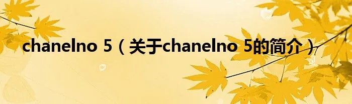 chanelno 5（关于chanelno 5的简介）