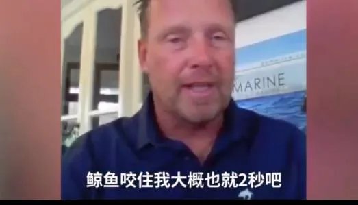 潜水员被鲸鱼吞入画面曝光：还原过程始末惊险一幕（图）