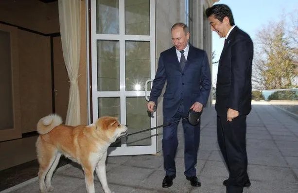 说了与日本共同开展经济活动，俄罗斯为什么要在争议领土设经济特区？