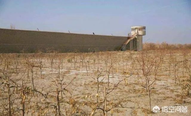 辽宁两个重刑犯为什么能够逃脱?