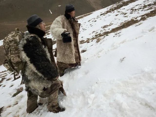 祁连山的生态环境被长期破坏,大家怎么看?