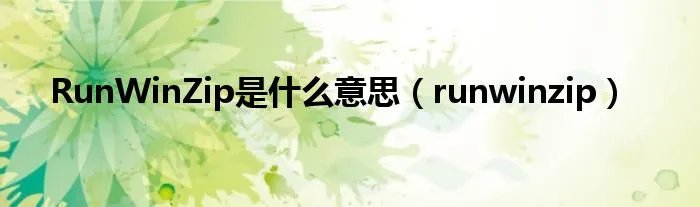 RunWinZip是什么意思（runwinzip）