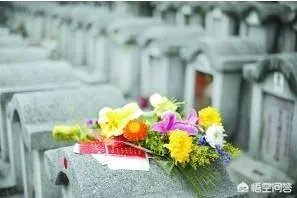 陵园推出代客祭祀，远程读信100元，你怎么看？