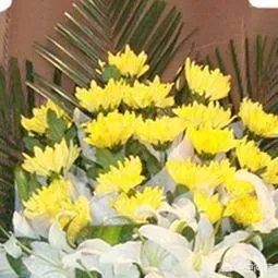 信阳乡村女教师用身体挡住学生，不幸被撞身亡，你怎么看？