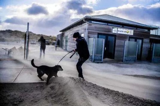 荷兰遭强风暴袭击有多严重?