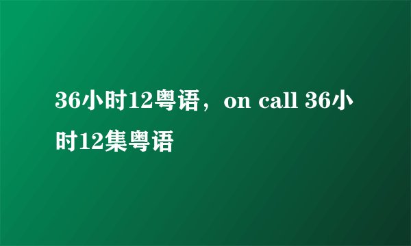 36小时12粤语，on call 36小时12集粤语