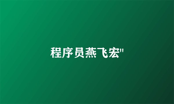 程序员燕飞宏