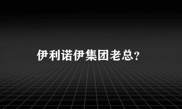 伊利诺伊集团老总？