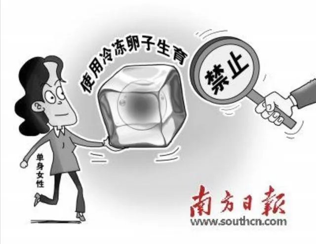 单身女性生育权是否必要？