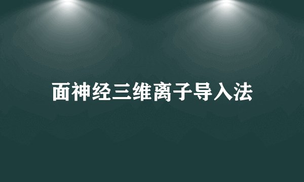 面神经三维离子导入法