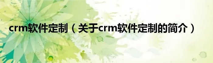 crm软件定制（关于crm软件定制的简介）