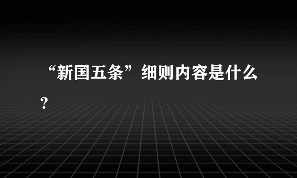 “新国五条”细则内容是什么？