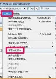 adobe flash player已过期 被禁用了怎么处理