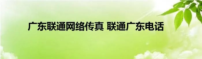 广东联通网络传真 联通广东电话