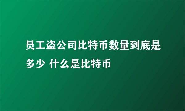 员工盗公司比特币数量到底是多少 什么是比特币