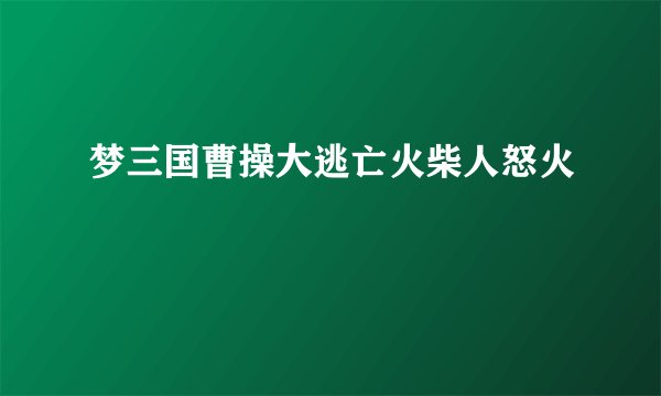梦三国曹操大逃亡火柴人怒火