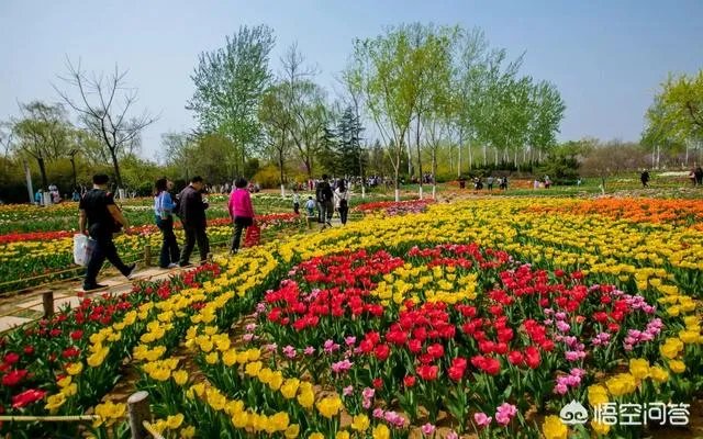 今年五一放假四天时间你准备去哪里玩呢？