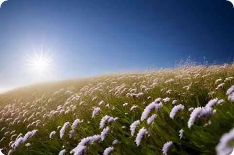 俄狄浦斯王简介