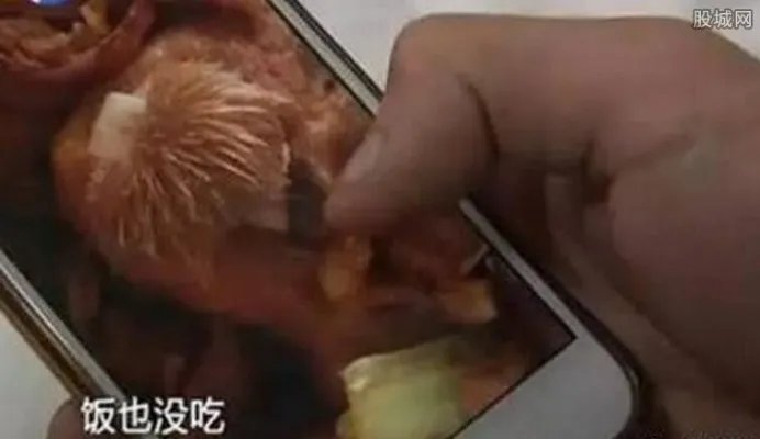 黄焖鸡吃出带牙肉 头部带毛还长着一对牙齿