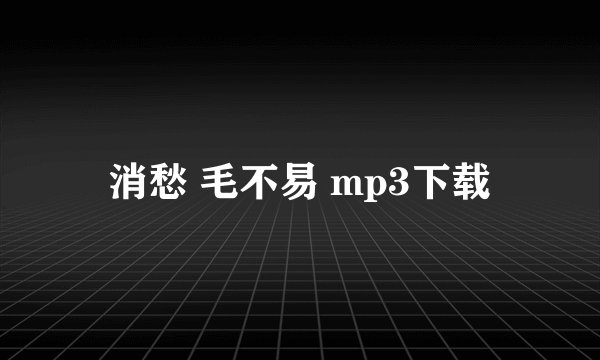 消愁 毛不易 mp3下载