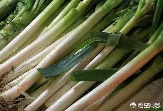 你如何看待““大葱毒死羊”案两名种植户获刑