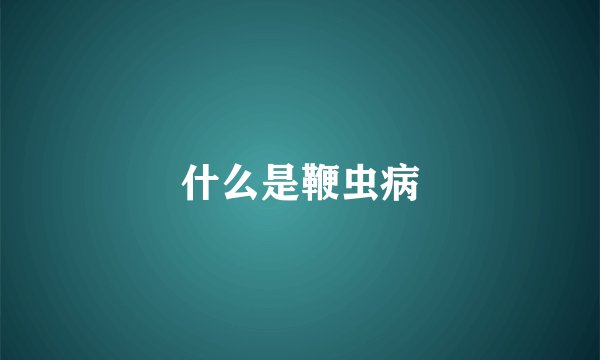 什么是鞭虫病
