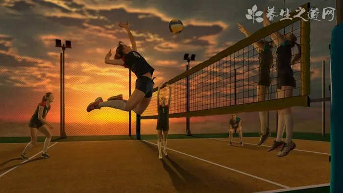 帮助猫咪减肥的方法有哪些？