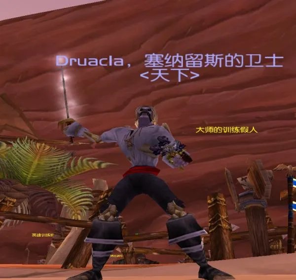 魔兽世界亡灵法师幻化什么好看？套装哪种好看？