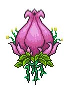 《泰拉瑞亚》世纪之花召唤方法 世纪之花如何召唤