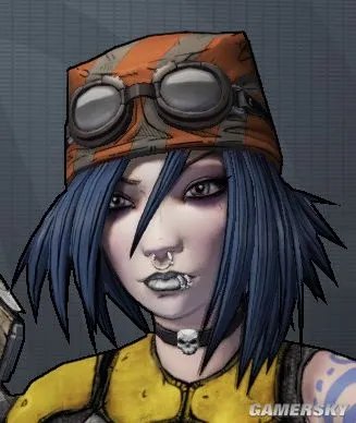 《无主之地2》全职业皮肤及头型收集攻略 全职业皮肤获取方法