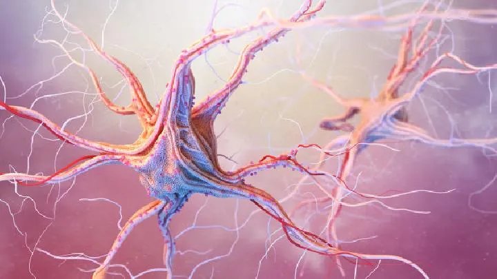 癫痫到底应该怎样治疗呢