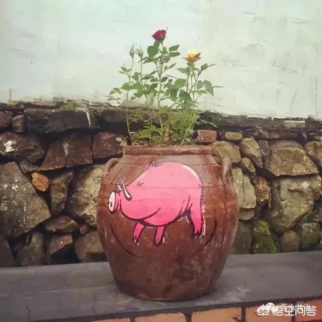 农村的生活垃圾怎么变废为宝？