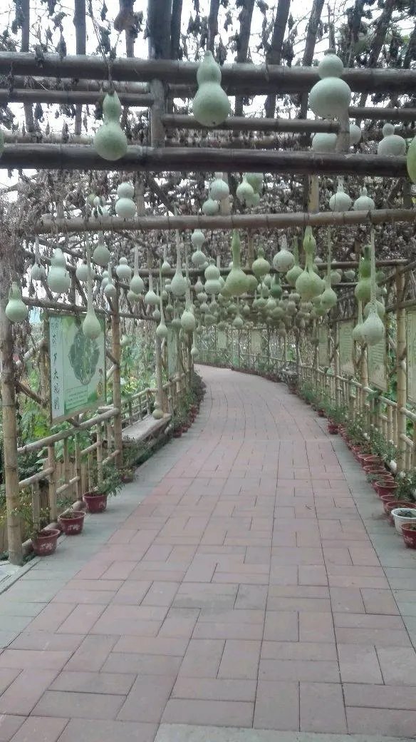 自然丰胸的最快方法--4招丰胸法