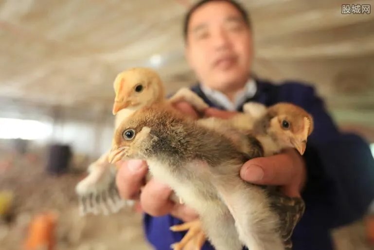 适合农村的致富项目有哪些 四大暴利项目推荐